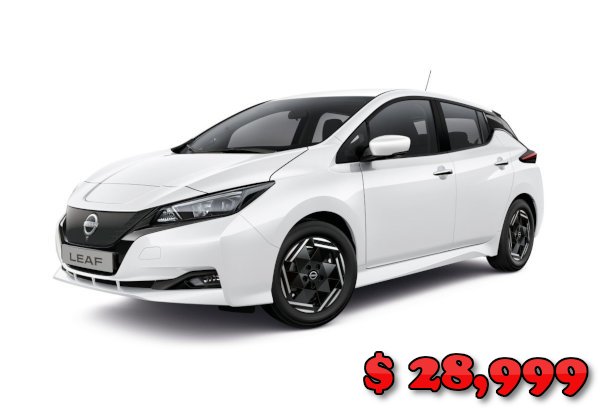 Nissan Leaf Acenta for Sale